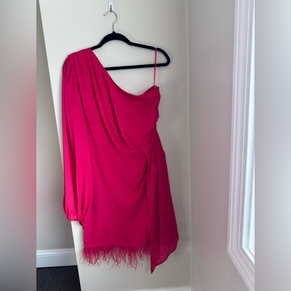 Vici Las Vegas One Shoulder Fringe Trim Pink Mini Dress XL - Picture 5 of 12
